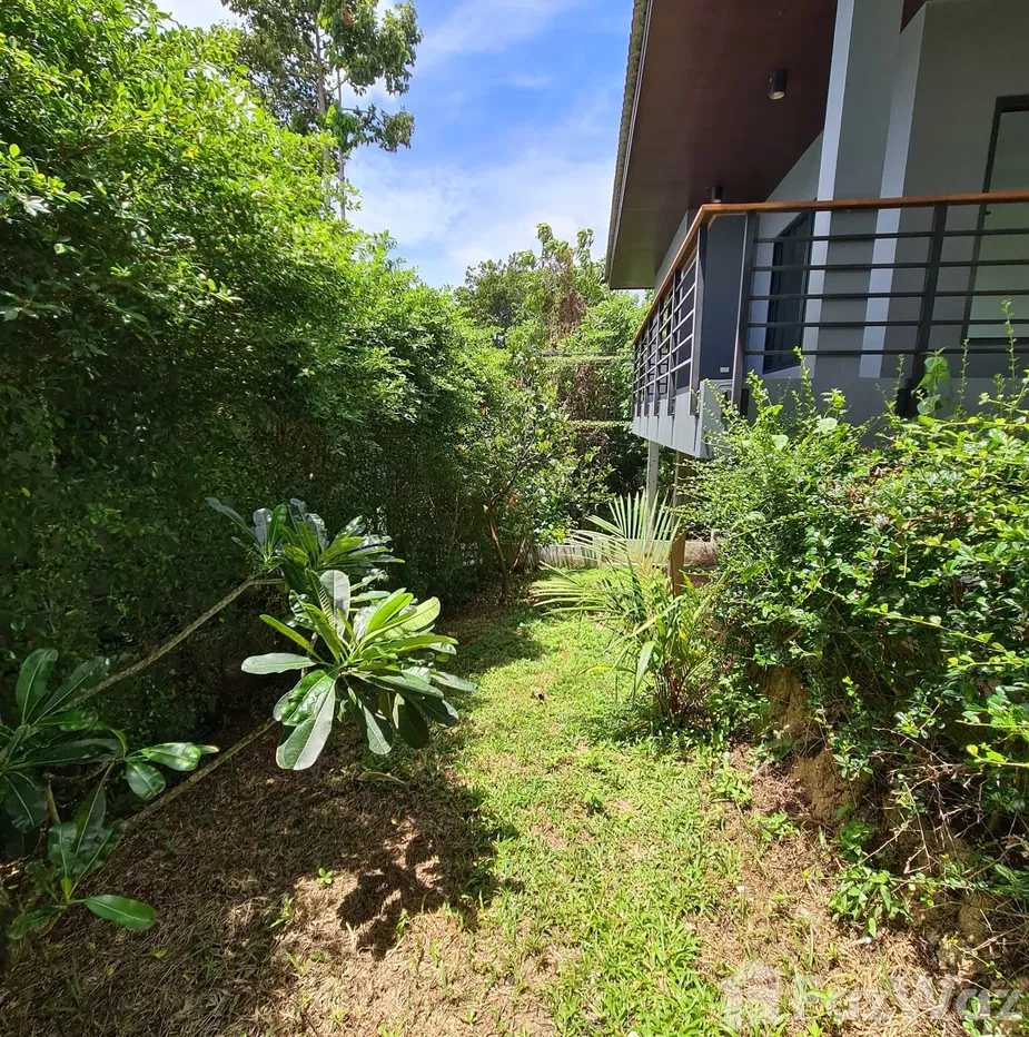 picture 3 Bedroom House for rent at Coco Hill Villa  1100554 - 24/25