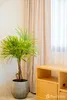 listing thumbnail image 17