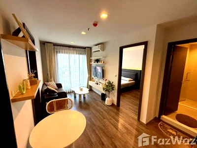 คอนโดให้เช่า : คอนโดให้เช่า 2 ห้องนอน ในโครงการ ไลฟ์ ลาดพร้าว แวลลี่ย์ 5759483
