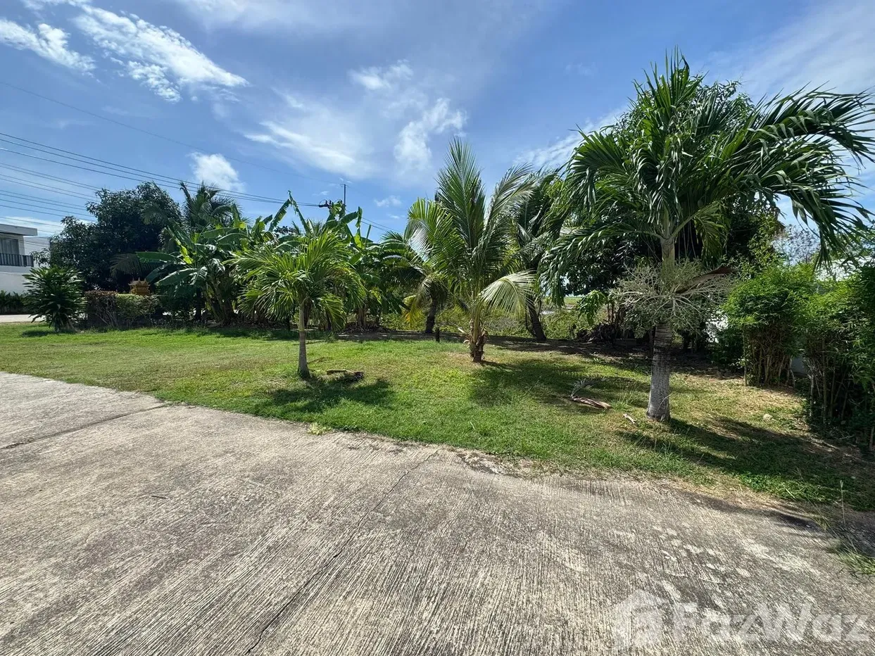 รูป วิลล่าให้เช่า 2 ห้องนอน ใน ฉลอง, ภูเก็ต 5341378 - รูปที่ 9/10