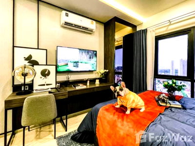 ขายคอนโด : ขาย คอนโด 1 ห้องนอน ในโครงการ เมทริส ดิสทริค ลาดพร้าว 1982258