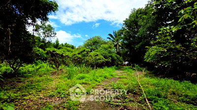 ที่ดิน ฟาร์มงูแม่สา : ที่ดินสำหรับปล่อยขาย 5,764 ตารางเมตร แถว ใน แม่แรม (ID 2344907)