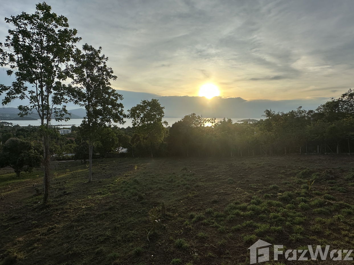 รูป วิลล่าให้เช่า 3 ห้องนอน ใน บ่อผุด, สุราษฎร์ธานี 1995427 - รูปที่ 4/26