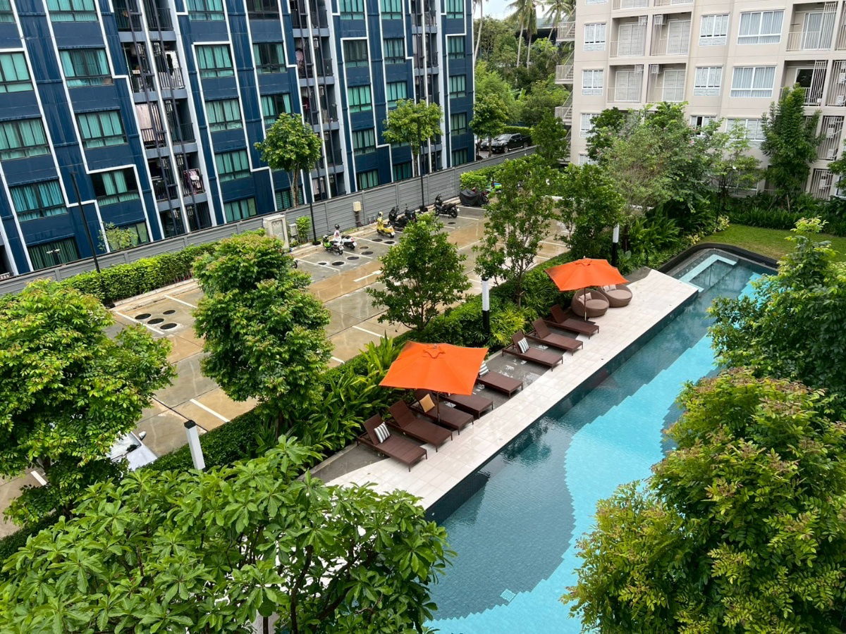 รูป ให้เช่า วิวสระว่ายน้ำ คอนโดใหม่  - รูปที่ 1/9