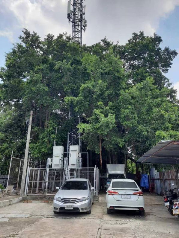 รูป ขายที่ดินสวย พร้อมบ้าน 3 ชั้น ปุณณวิถี 27 ถนนสุขุมวิท 101  - รูปที่ 6/6