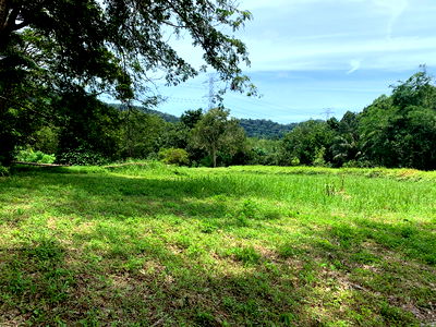 ที่ดิน ถลาง ภูเก็ต : 7 Rai Land for sale near Phuket airport 
