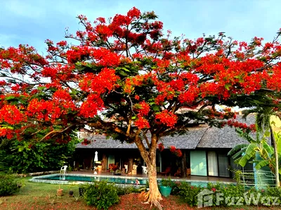 เช่าบ้านเดี่ยว หาดบางเทา : วิลล่าให้เช่า 4 ห้องนอน ในโครงการ ลากูน่า โฮมส์ 5756347
