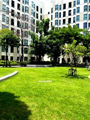 Condos for sale : For selling : Unio Sukhumvit 72 phase 1 only 1.19 MB 