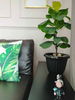listing thumbnail image 4