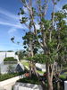 listing thumbnail image 48