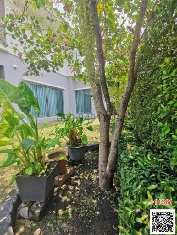 รูป เช่า บ้านเดี่ยว หมู่บ้าน เพอร์เฟค เพลส สุขุมวิท 77 สุวรรณภูมิ (ลาดกระบัง 20/3) - รูปที่ 14/19