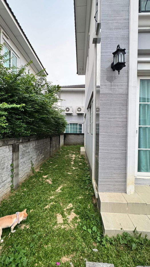 picture #R7004 🎉 171068 Condo for rent  Golden Neo Ramintra-Wongwaen - 4/12