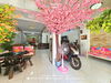 listing thumbnail image 5