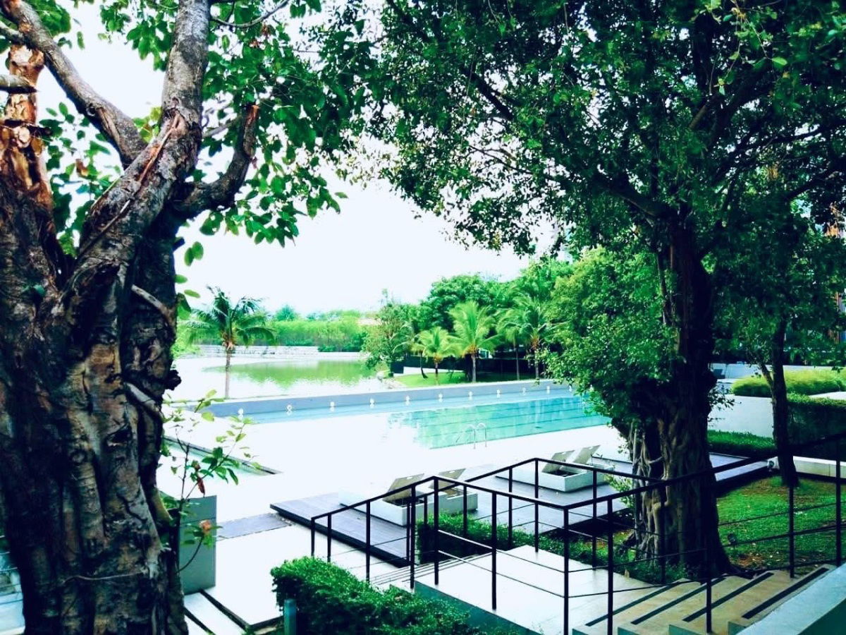 รูป 🏡 ขายคอนโด ชั้น 1 บรรยากาศสงบ ร่มรื่น ที่ คอนโด นอร์ท 1 in Serena Lake ( North 1 Condominium ) มีระบบรักษาความปลอดภัยสูง ทำเลดี เดินทางสะดวก - รูปที่ 17/18