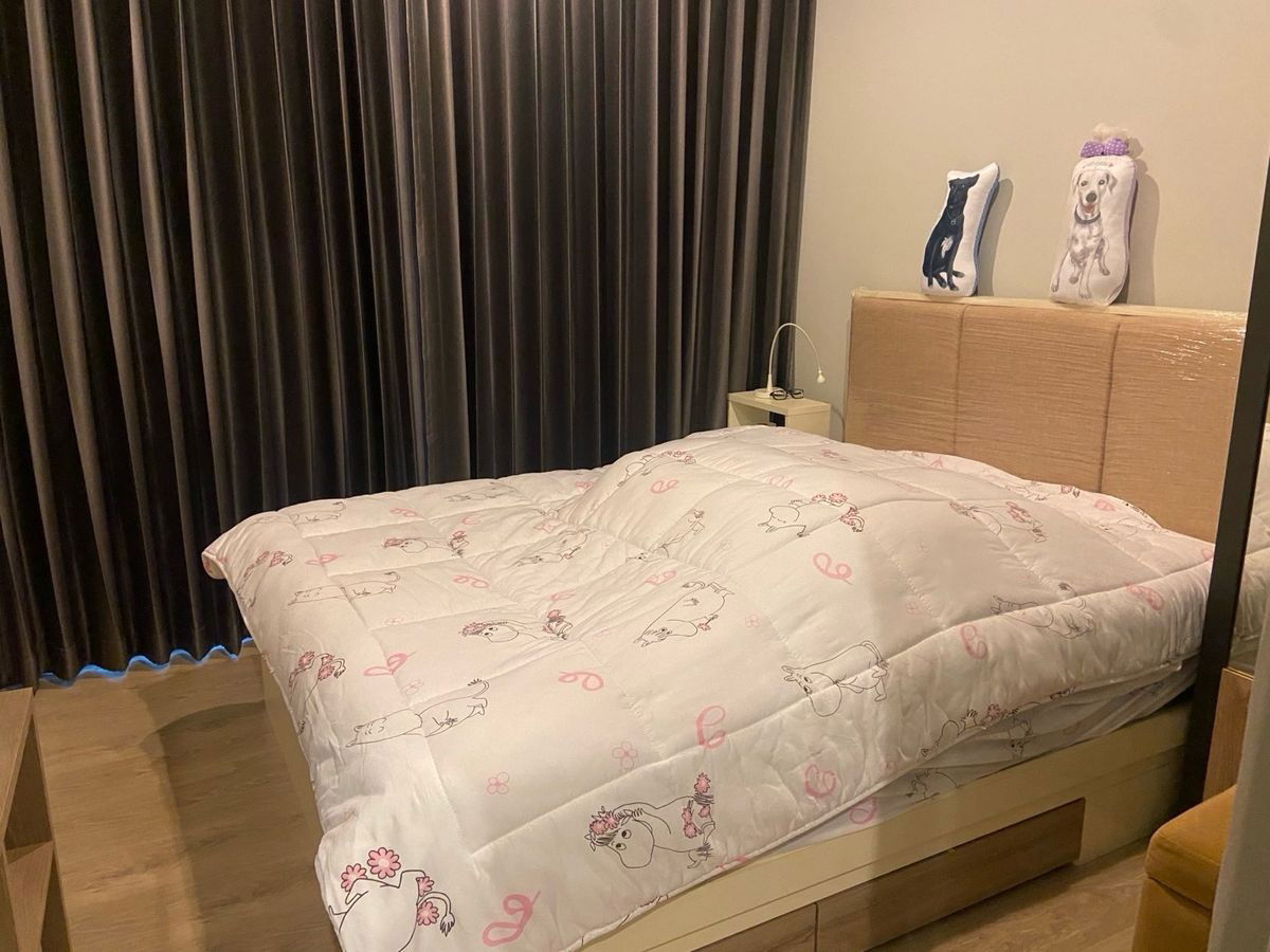 รูป 🏠RB21104 ให้เช่าถูกมาก📢เซล ศาลายา👉🏻แอดไลน์ @062mnigk( มี @ ด้วย) แอดมินตอบไว - รูปที่ 1/12