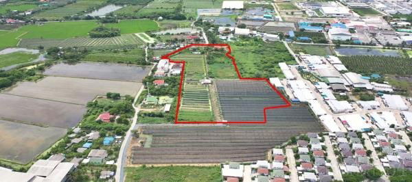 รูป ขายที่ดิน 23 ไร่ อนาคตดีใกล้ตัดใหม่กัลปพฤกษ์-กระทุ่มแบน พุทธสาครและเศรษฐกิจ ในราคาที่จับต้องได้ - KK1946S - รูปที่ 2/5