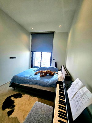 คอนโดให้เช่า : PFD-06214 ให้เช่าคอนโด แชปเตอร์ เจริญนคร‑ริเวอร์ไซด์ ( Chapter Charoennakhon–Riverside )  นัดชมห้อง ■ line : @propertyfinder