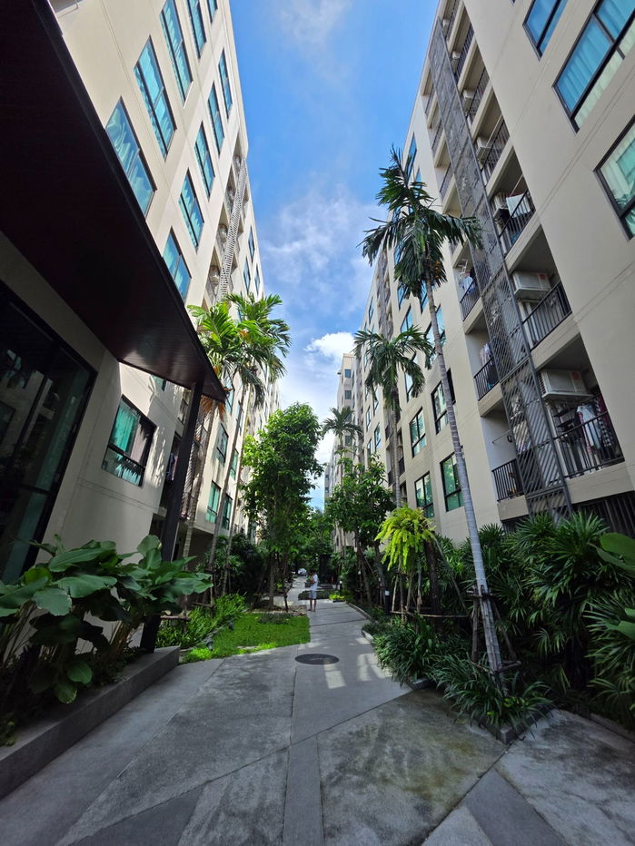 รูป Condo for rent, Lesto Sukhumvit 113, near BTS Samrong, price 7500 baht, ready to move in  - รูปที่ 16/18