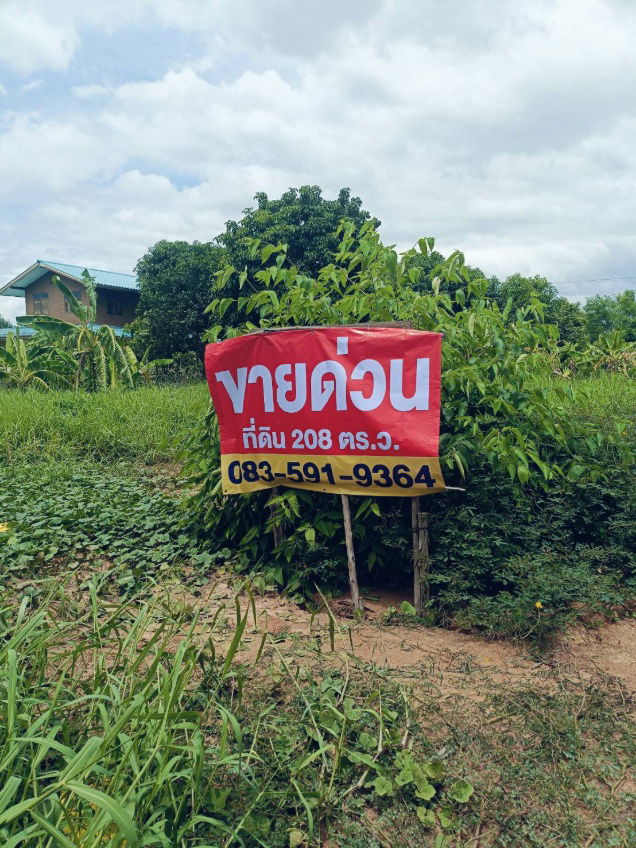 รูป ขายด่วน ที่ดินถมแล้ว แปลงสวย 52 ตร.ว. ซ.9/11 หมู่ 9 ต.คลองสาม อ.คลองหลวง ปทุมธานี ติดถนน 🌟แบ่งขาย🌟 ใกล้วัดธรรมกาย - รูปที่ 12/12