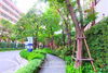 listing thumbnail image 24