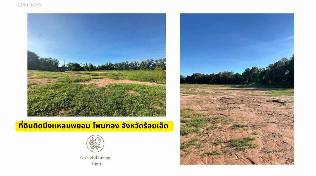 picture For Sale | Land at Laem Phayom, Roi Et | 35 Rai - 5/8