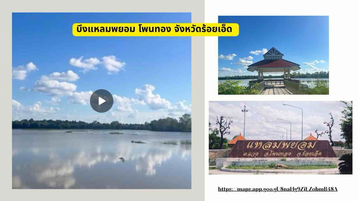 picture For Sale | Land at Laem Phayom, Roi Et | 35 Rai - 2/8