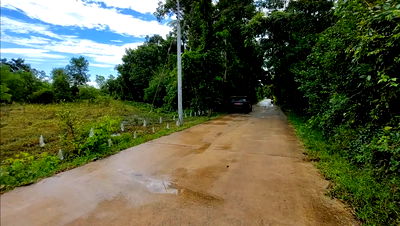 ที่ดิน ศรีมหาโพธิ ปราจีนบุรี : ขายที่ดิน 4 ไร่เศษ ในชุมชนไกล้นิคม 304 ปราจีนบุรี