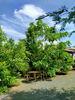 listing thumbnail image 8