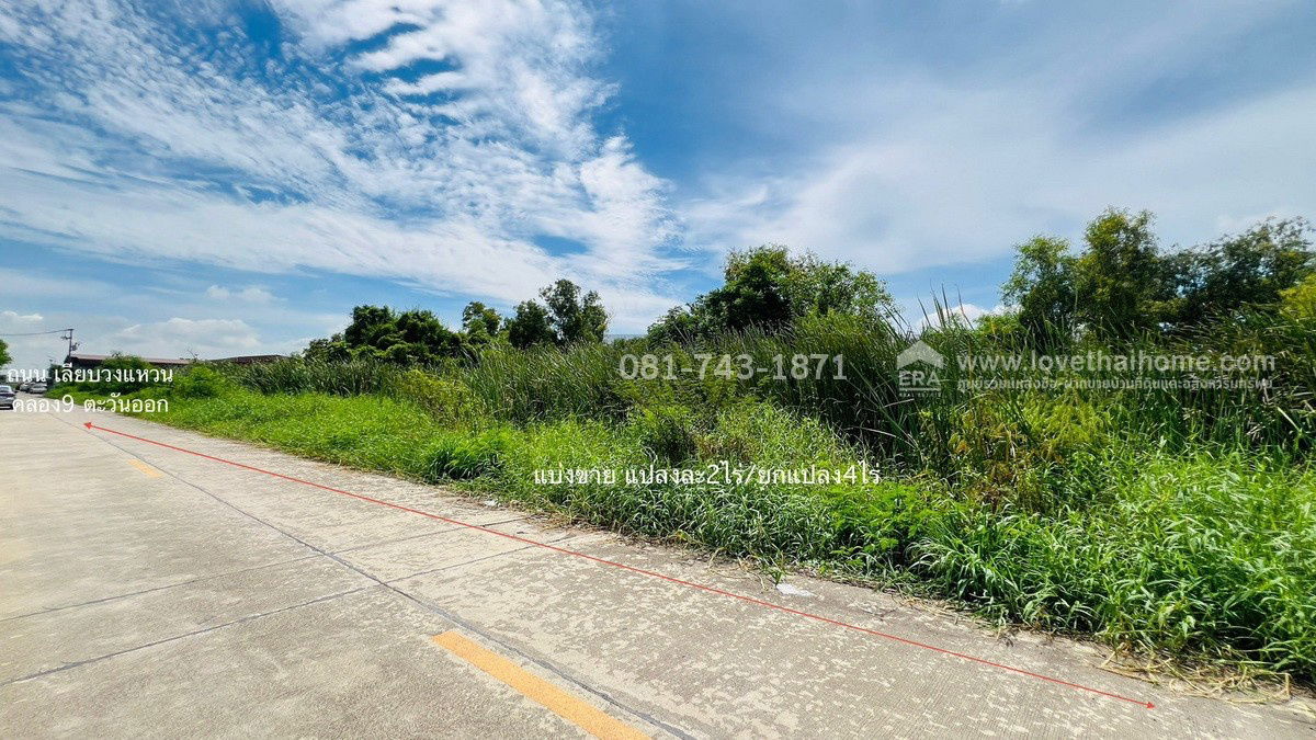 รูป ขายที่ดิน คลองหลวง ซ.วัดเพิ่มทาน คลองสี่ตะวันออก18 พื้นที่ 4 ไร่ ผังสีชมพู แบ่งขายได้ แปลงละ 2 ไร่ ที่ดินอยู่ใกล้ถนนเลียบมอเตอร์เวย์   - รูปที่ 5/9