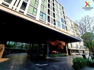 Condos for rent Soi On Nut (Sukhumvit 77) : 🔥🔥🔥 For Rent Condo , Atmoz Oasis Onnut , Suan Luang , Suan Luang , Bangkok , CX-101378 ✅ Live chat with us ADD LINE @connexproperty ✅ 🔥🔥🔥