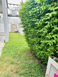 ขายบ้าน  แลนซีโอ คริป ปิ่นเกล้า – พระราม 5 ปลายบาง บางกรวย นนทบุรี CX-95012 ✅ ทักไลน์ @connexproperty ตอบทันที ทีมงานมืออาชีพ ✅