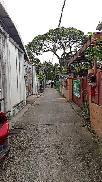 picture 🏡 For Rent: Charming Townhome in Chiang Mai Old City — Only 30 Meters from the Moat! - 16/17