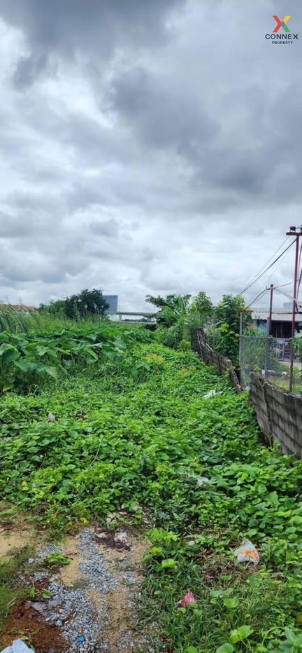 รูป ขายที่ดินเปล่า  บ้านเคหะนคร 2 วิวแม่น้ำ หน้ากว้าง ลาดกระบัง เขต ลาดกระบัง กรุงเทพ CX-131256 ✅ ทักไลน์ @connexproperty ตอบทันที ทีมงานมืออาชีพ ✅  - รูปที่ 6/8