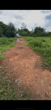 Urgent Sale!! Land Plot, 2 Ngan, 490,000 Baht, Mueang Prachuap (Prachuap Khiri Khan)