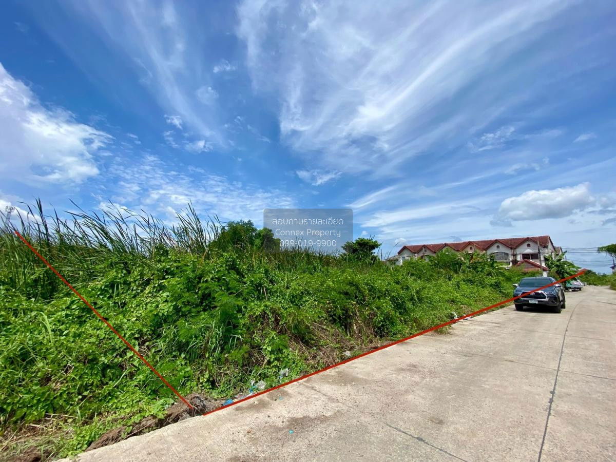 picture For Sale Land , Than Thong Village 2 , Bang Rak Phatthana , Bang Bua Thong , Nonthaburi , CX-88096 ✅ Live chat with us ADD LINE @connexproperty ✅ - 3/3