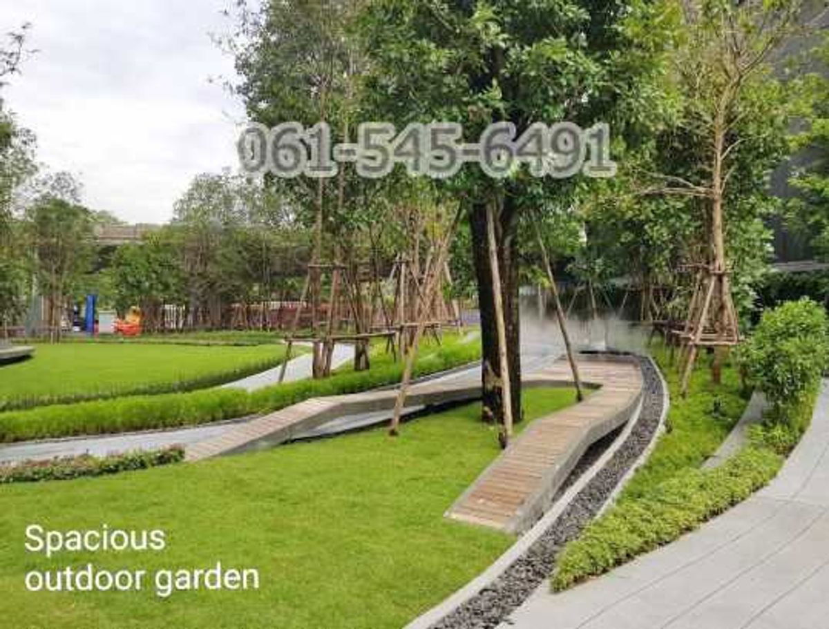 รูป ให้เช่า Condo The Line Jatujak คอนโด เดอะไลน์ จตุจักร หมอชิต วิวสวนสวย ทำเลดี ใกล้ BTS หมอชิต - รูปที่ 2/18