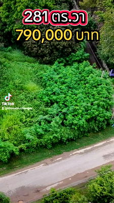 ที่ดิน เมืองเชียงราย เชียงราย : ที่ดินเชียงราย ใกล้เมือง บรรยากาศดี ติดถนน ใจกลางชุมชน