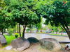 listing thumbnail image 11