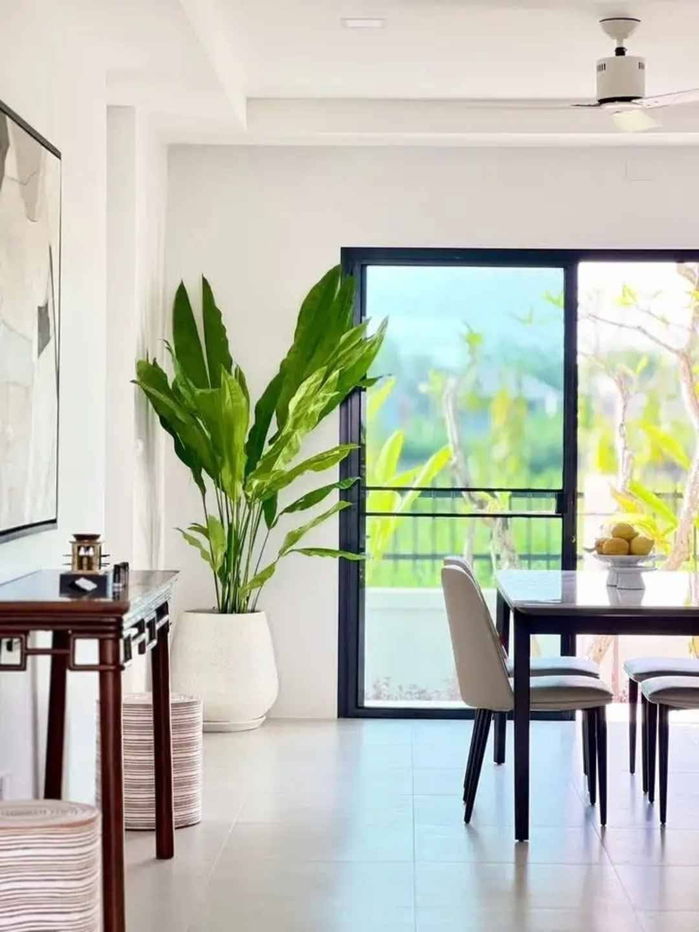 รูป ขายบ้านเดี่ยว 4 ห้องนอน 3 ห้องน้ำ นอกโครงการ ทำเลย่านเศรษฐกิจ มหาวิทยาลัยแม่โจ เชียงใหม่ T.0946511456 - รูปที่ 4/17