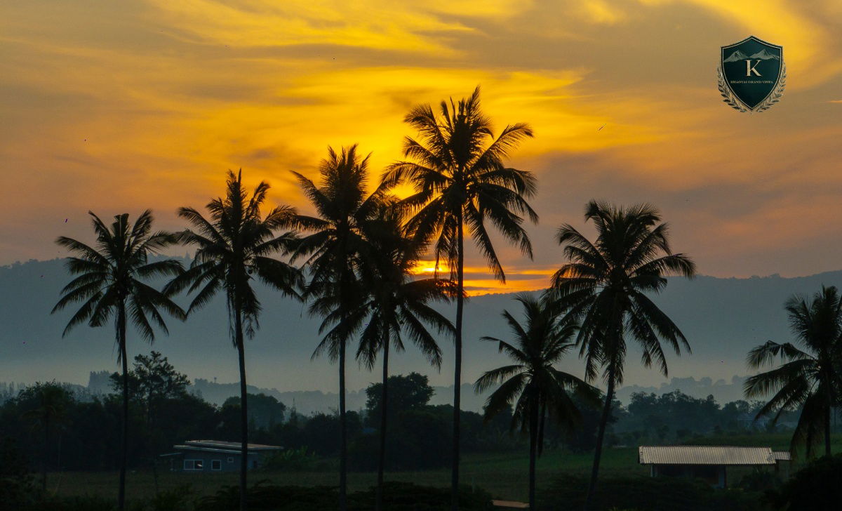 รูป 🌄 ที่ดินวิวภูเขา เขาใหญ่-ปากช่อง(คลองม่วง) เริ่มต้นเพียง 7,000 บาท/ตร.ว. | KHAO-YAI GRAND VISTA - รูปที่ 11/11