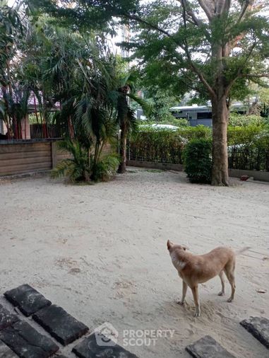 ขายบ้านเดี่ยว 3 ห้องนอน 203.8 ตร.ม. 37.3 ตร.ว. ฮาบิเทีย ปัญญาอินทรา 2