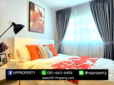 เช่าคอนโด อมตะนคร : ✨🏢 เลือกเช่าคอนโดเอิร์นอมตะนครต้อง NP Property! ✨  เพราะเรามีห้องให้เลือกเยอะที่สุด 