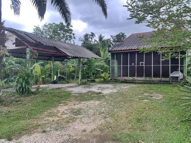 picture FOR SALE HOUSE PROPERTY 700000 BAHT. - 2/8