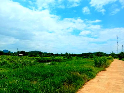 ที่ดิน บ้านไร่ อุทัยธานี : ขายดินสวย ติดถนน วิวภูเขา อำเภอบ้านไร่ อุทัยธานี  เหมาะอยู่อาศัย ทำบ้านสวน