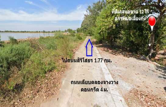 รูป ขาย ที่ดิน แปลงสวย ติดถนนเลียบคลองจางวาง ใกล้แม่น้ำบางปะกง อ.บ้านโพธิ์ 12 ไร่ ติดโครงการบางปะกงริเวอร์ไซด์ พร้อมโอน  ฟรีค่าโอน - รูปที่ 5/12