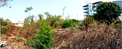 ที่ดิน เมืองเชียงราย เชียงราย : ที่ดินเปล่า เนื้อที่ทั้งหมด 3748.4 ตารางเมตร - ตำบลรอบเวียง อำเภอเมืองเชียงราย เชียงราย ราคา 82,465,000 บาท