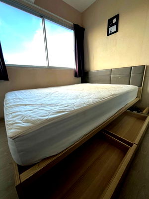 Condos for rent : For rent Plum Condo Park Rangsit Phase 3 Building B