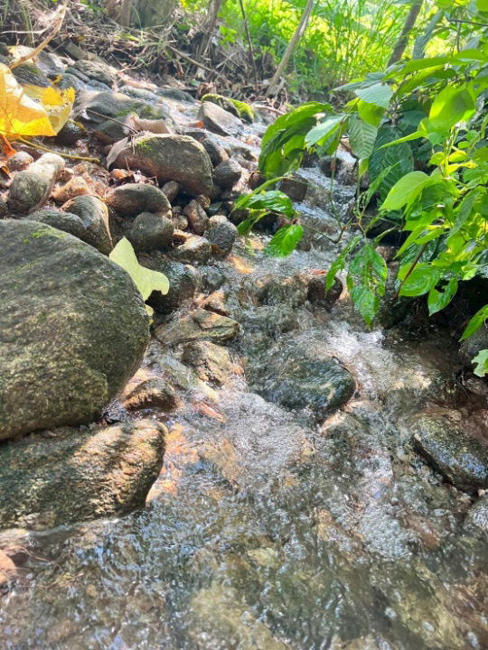picture There is a 1 rai plot of land with a mountain view, already fenced in by a cowboy fence, in Ban Khai District, Rayong, near Khao Makhem Camping. - 2/5