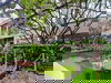 listing thumbnail image 26