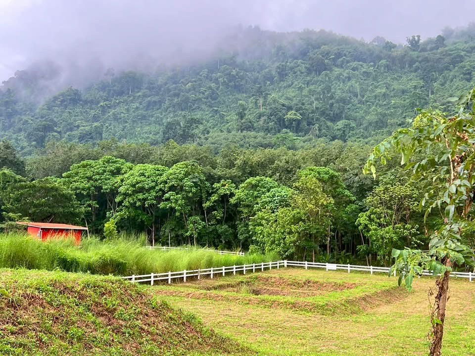 picture There is a 1 rai plot of land with a mountain view, already fenced in by a cowboy fence, in Ban Khai District, Rayong, near Khao Makhem Camping. - 1/5